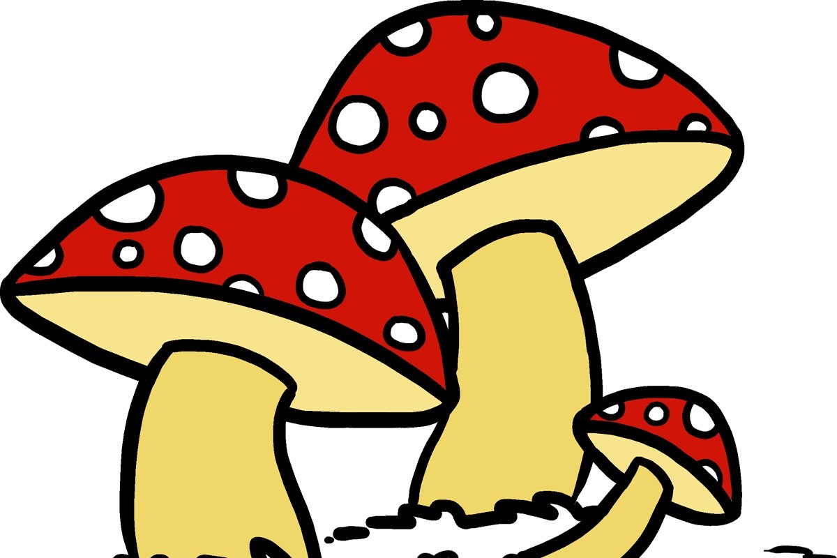 How To Draw A Mushroom