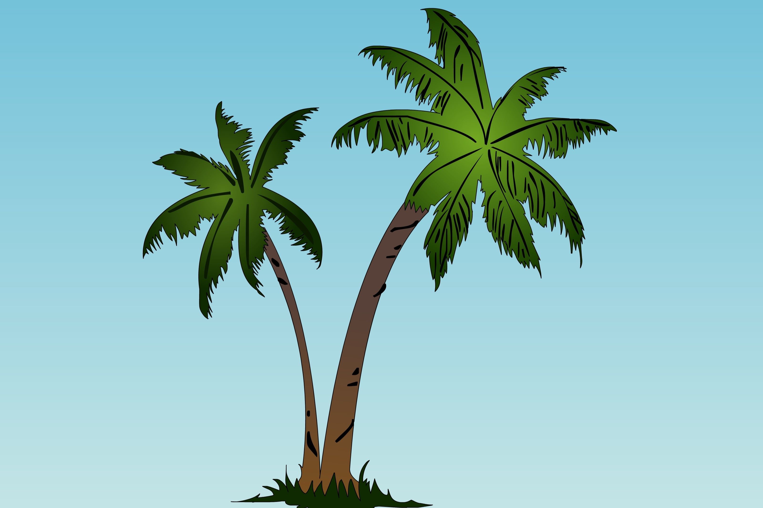 How To Draw A Palm Tree