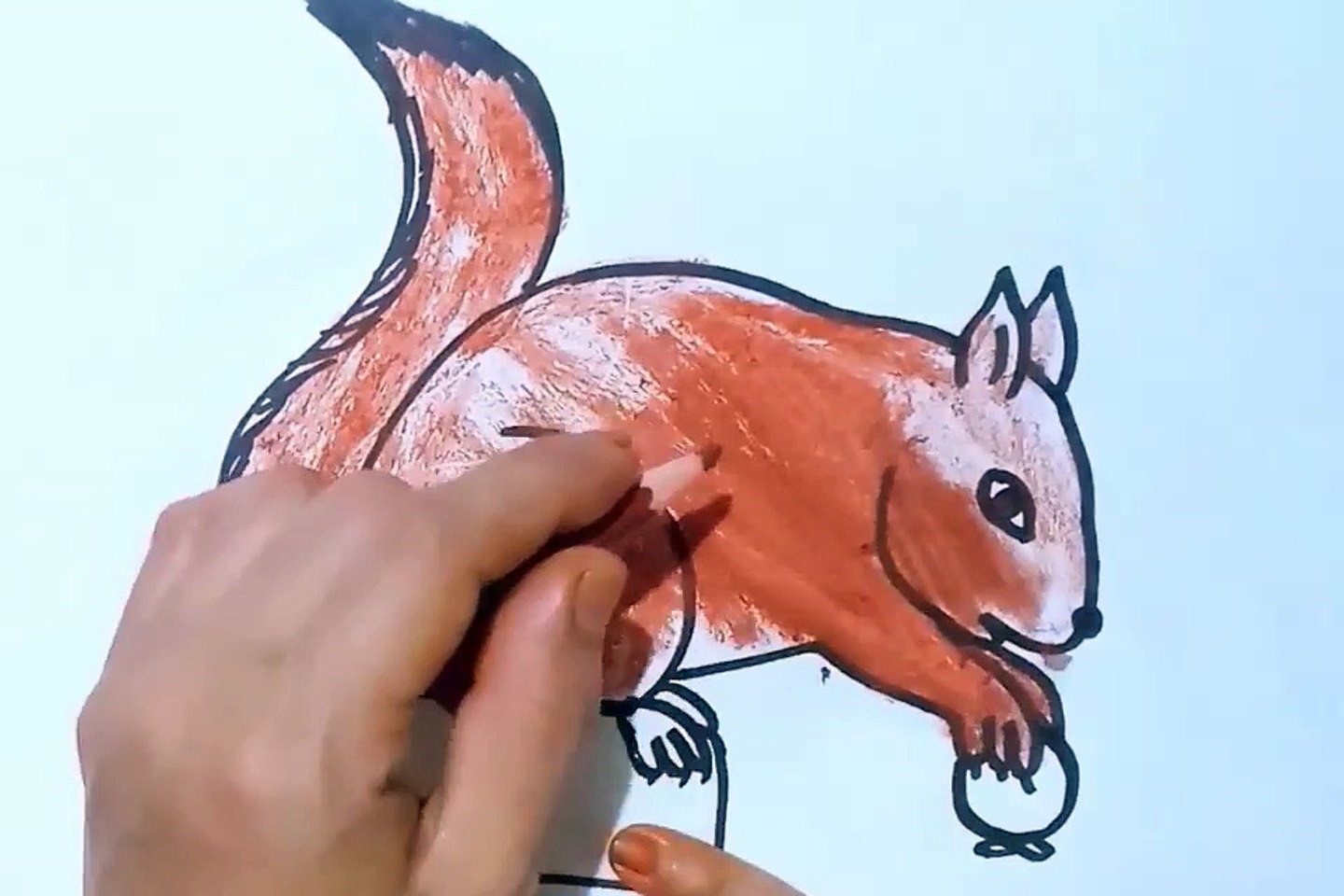 How To Draw A Squirrel