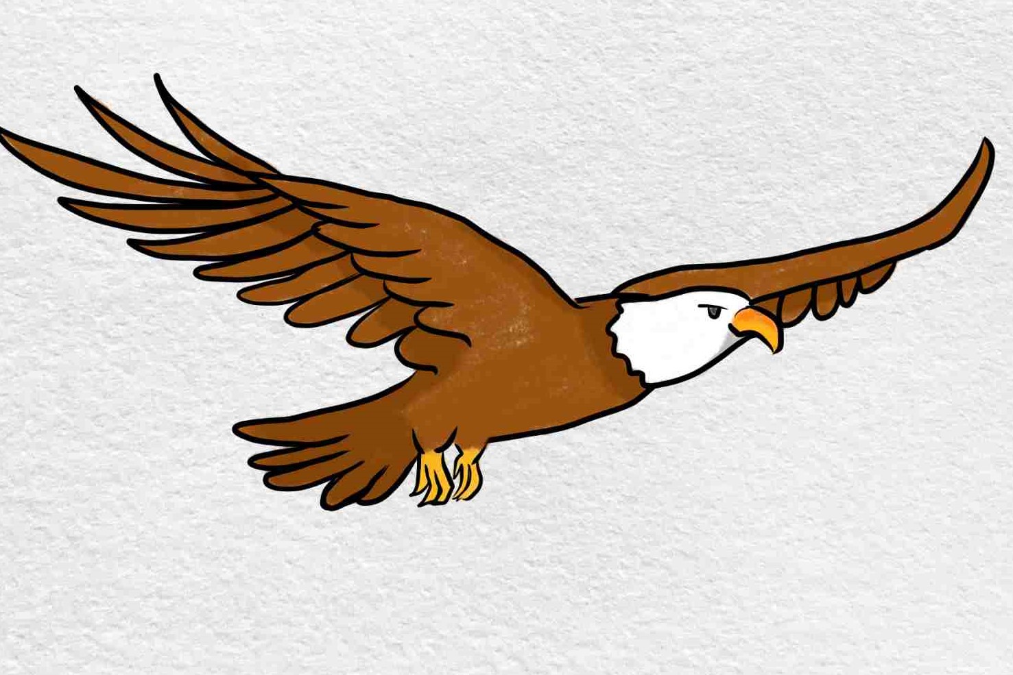 How To Draw An Eagle