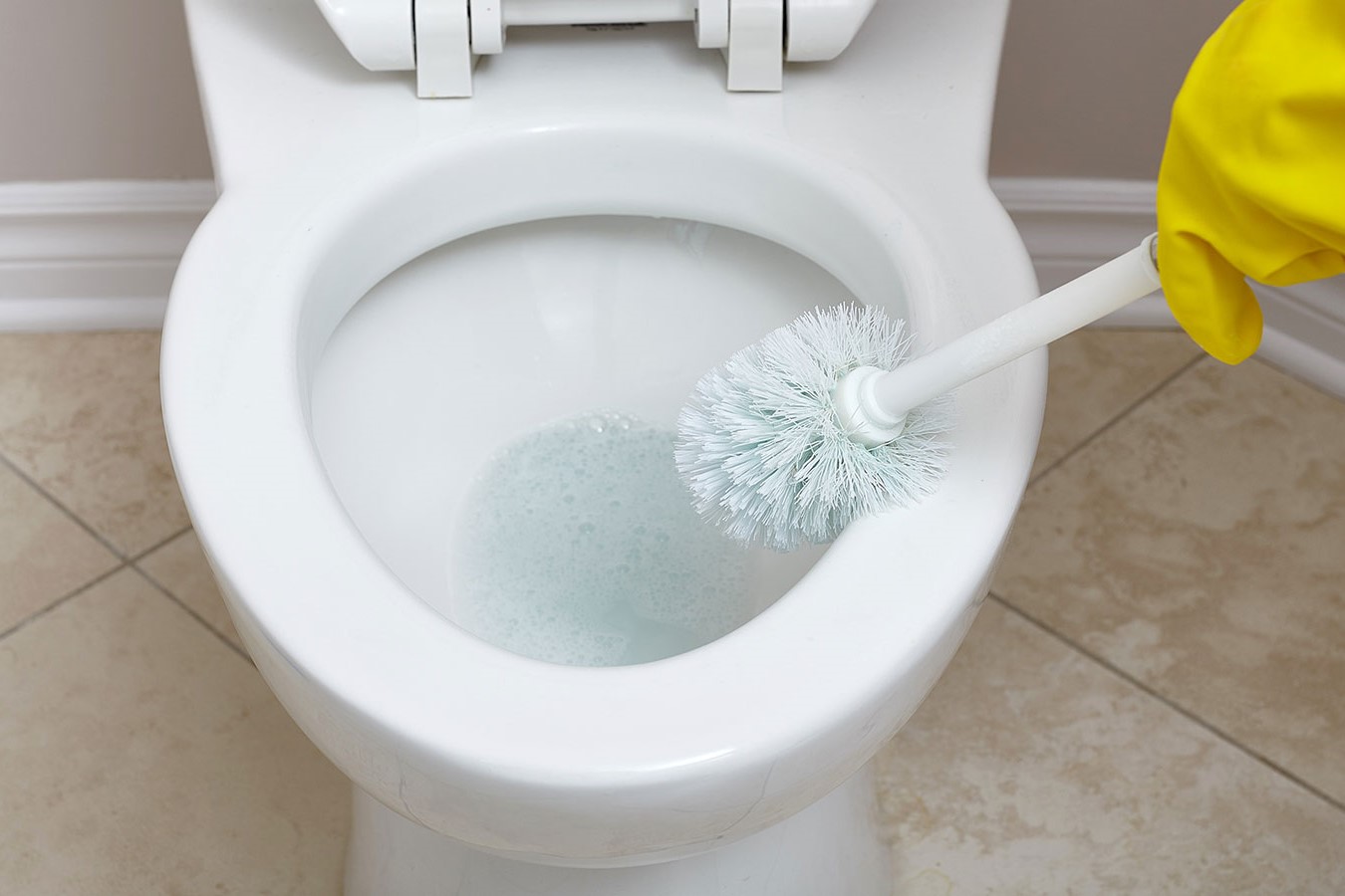 How To Get Rid Of Toilet Ring