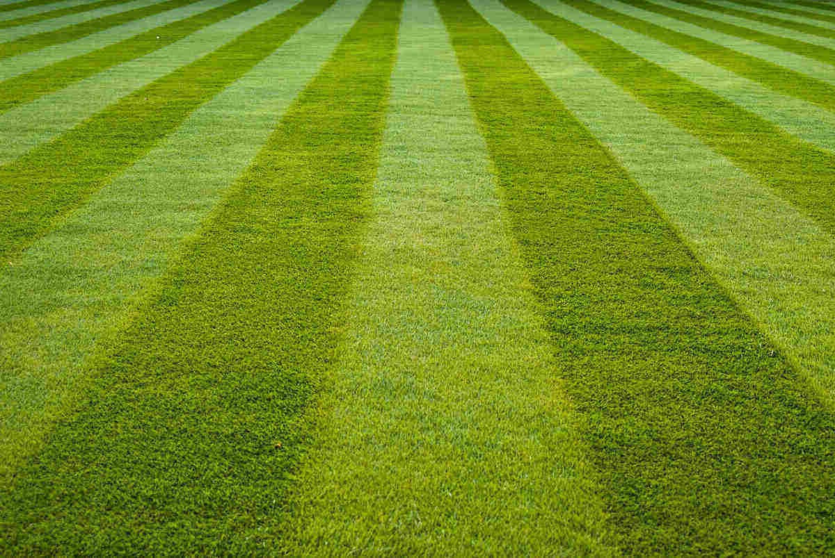 How To Stripe Grass