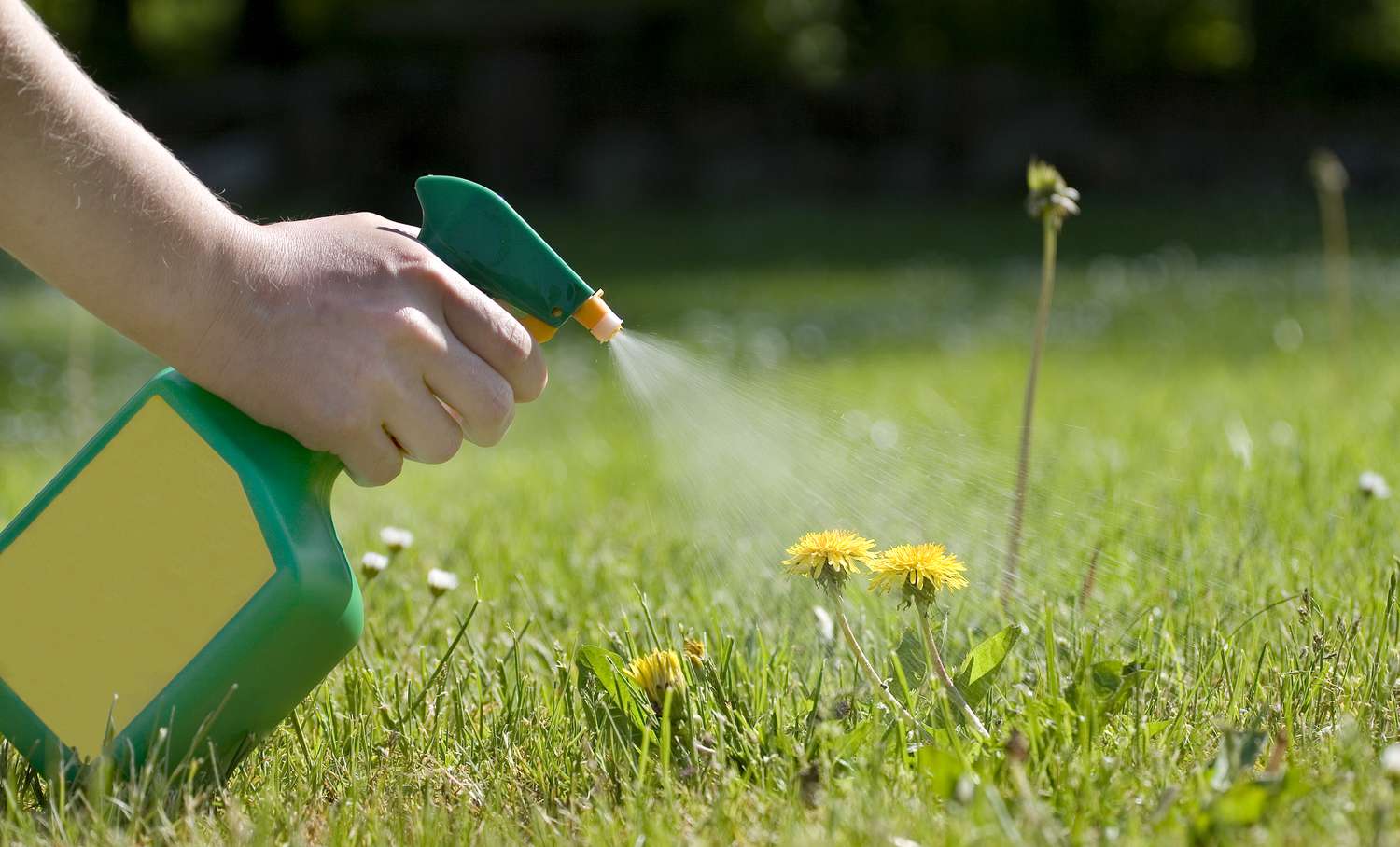 The Secret Grass Spray That Transforms Commercial Lots And Freeways In Record Time!