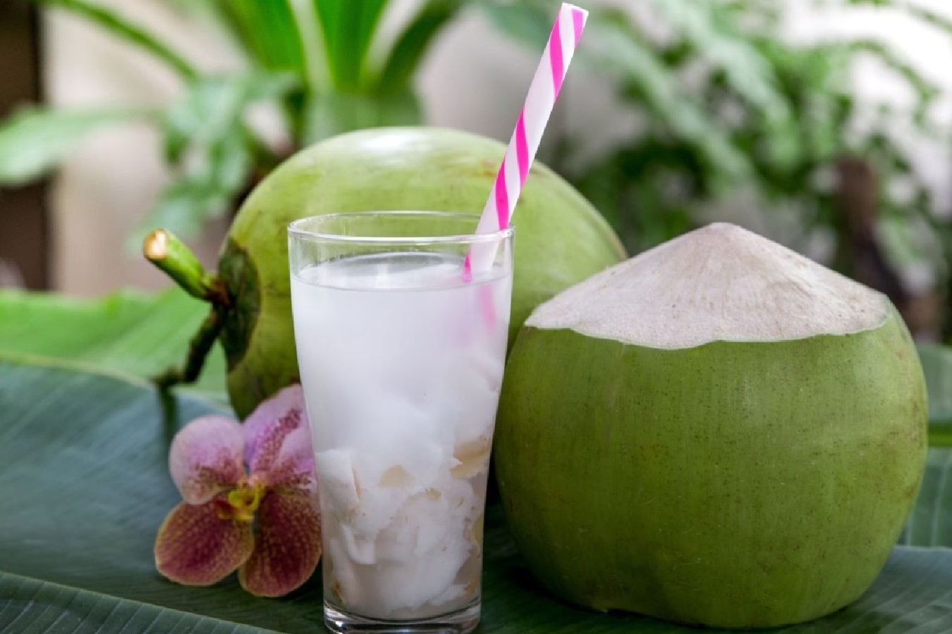 The Ultimate Guide To Finding The Perfect Coconut Water