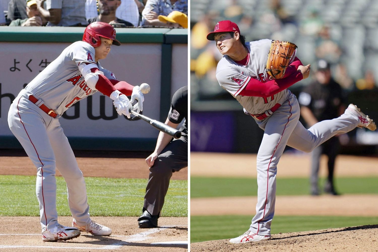 Uncover The Ultimate Baseball Showdown: Batter Vs. Pitcher Stats Revealed!