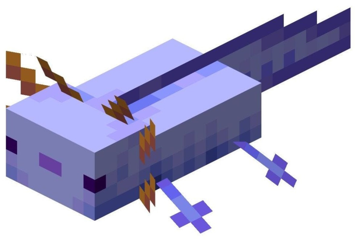 Unlock The Secrets: Discover The Ultimate Guide To Obtaining A Rare Dark Blue Axolotl In Minecraft!