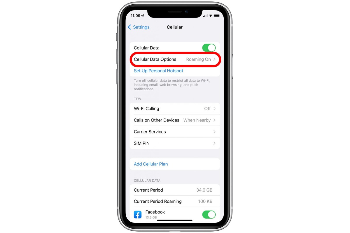 How To Enable And Use Data Roaming On IPhone