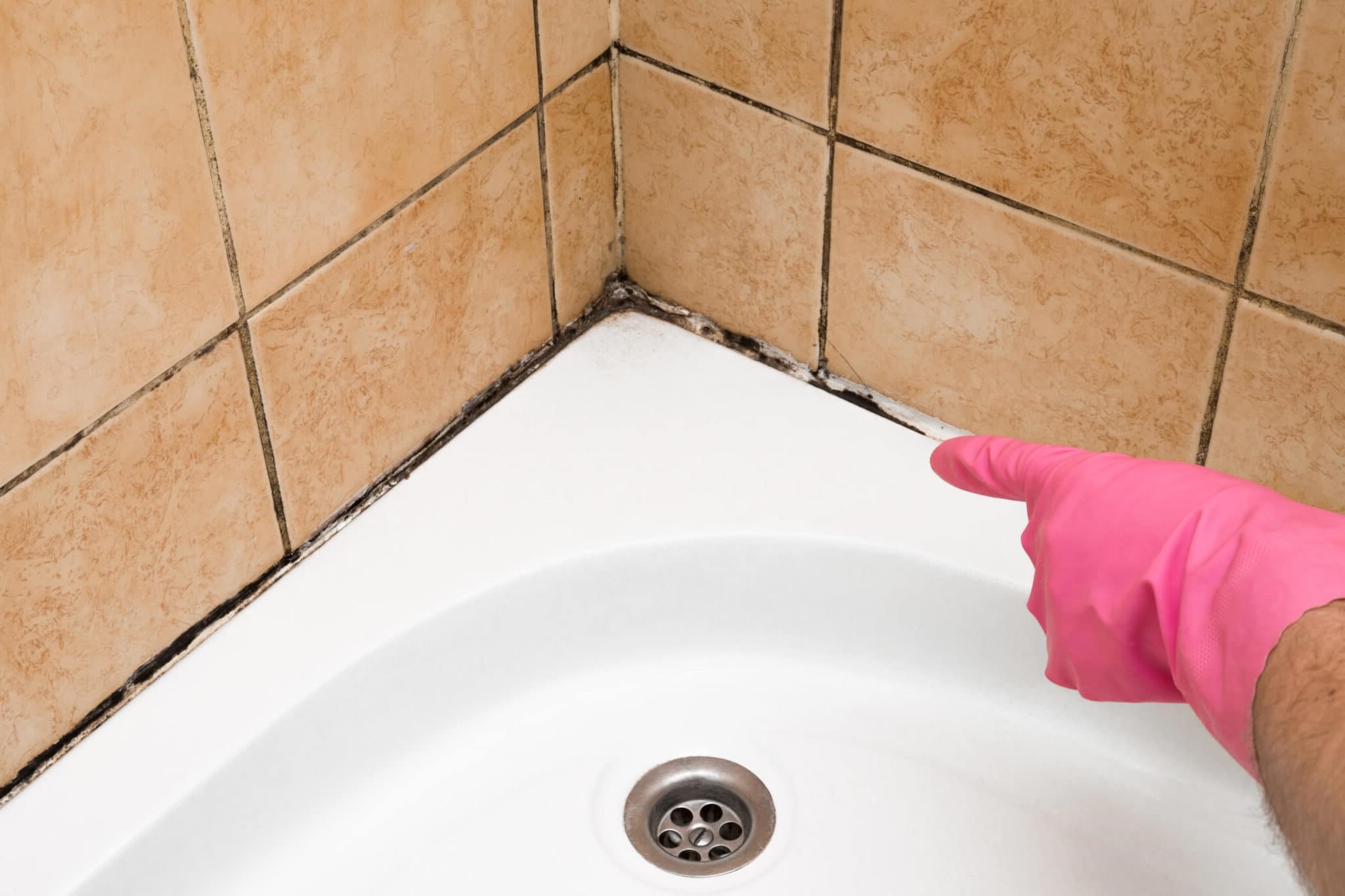 How To Remove Mold From Shower Grout